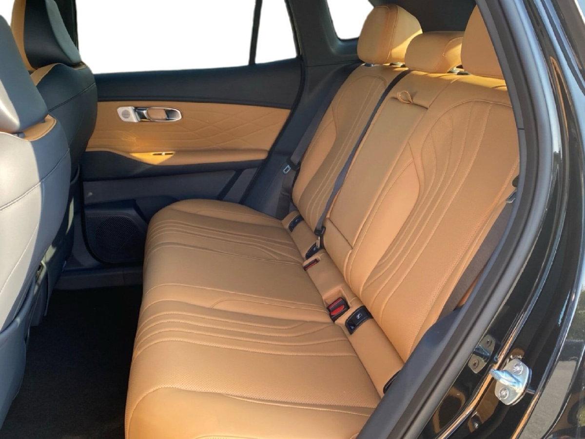Geely Starray Starray EM-i 1.5 phev Launch Edition auto (11)