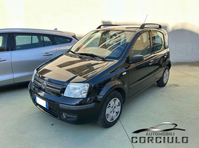 Fiat Panda 1.2 Dynamic usata