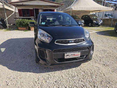 Kia Picanto 1.0 12V EcoGPL 5 porte Cool usata