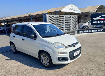 Fiat Panda 1.2 EasyPower Lounge usata