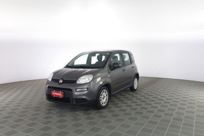 Fiat Panda Cross Cross 1.0 FireFly S&S Hybrid usata