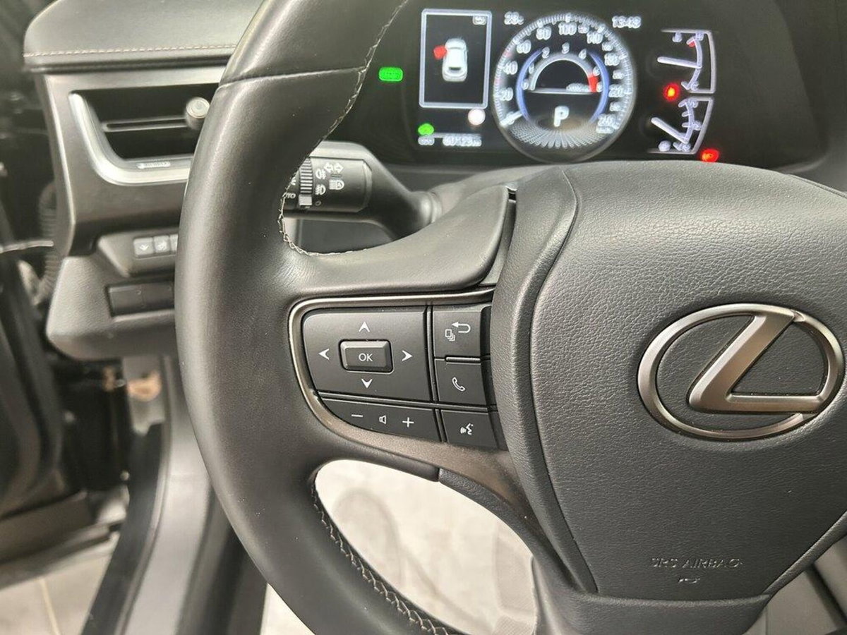 Lexus UX 300h 2.0 Urban 2wd cvt (12)