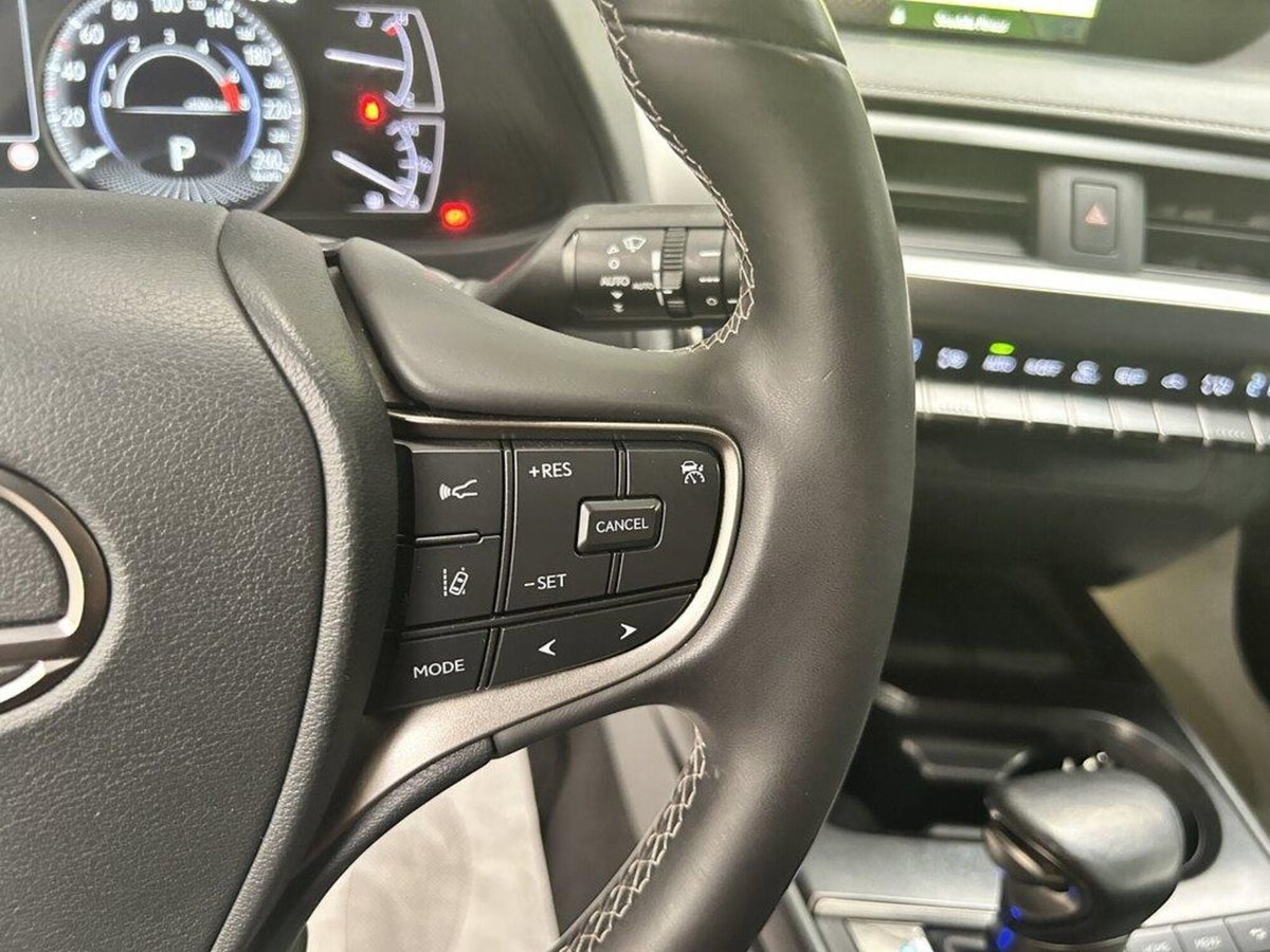 Lexus UX 300h 2.0 Urban 2wd cvt (13)