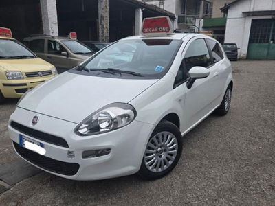 Fiat Punto 1.2 8V 3 porte Street usata