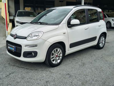 Fiat Panda 1.2 Lounge usata