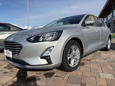 Ford Focus 1.5 EcoBlue 120 CV 5p. Active usata