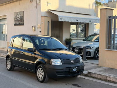 Fiat Panda 1.1 Actual usata