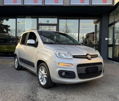 Fiat Panda 1.2 Easy usata