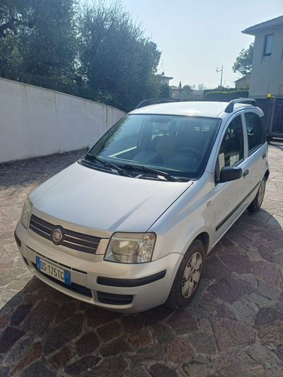 Fiat Panda 1.2 Dynamic usata