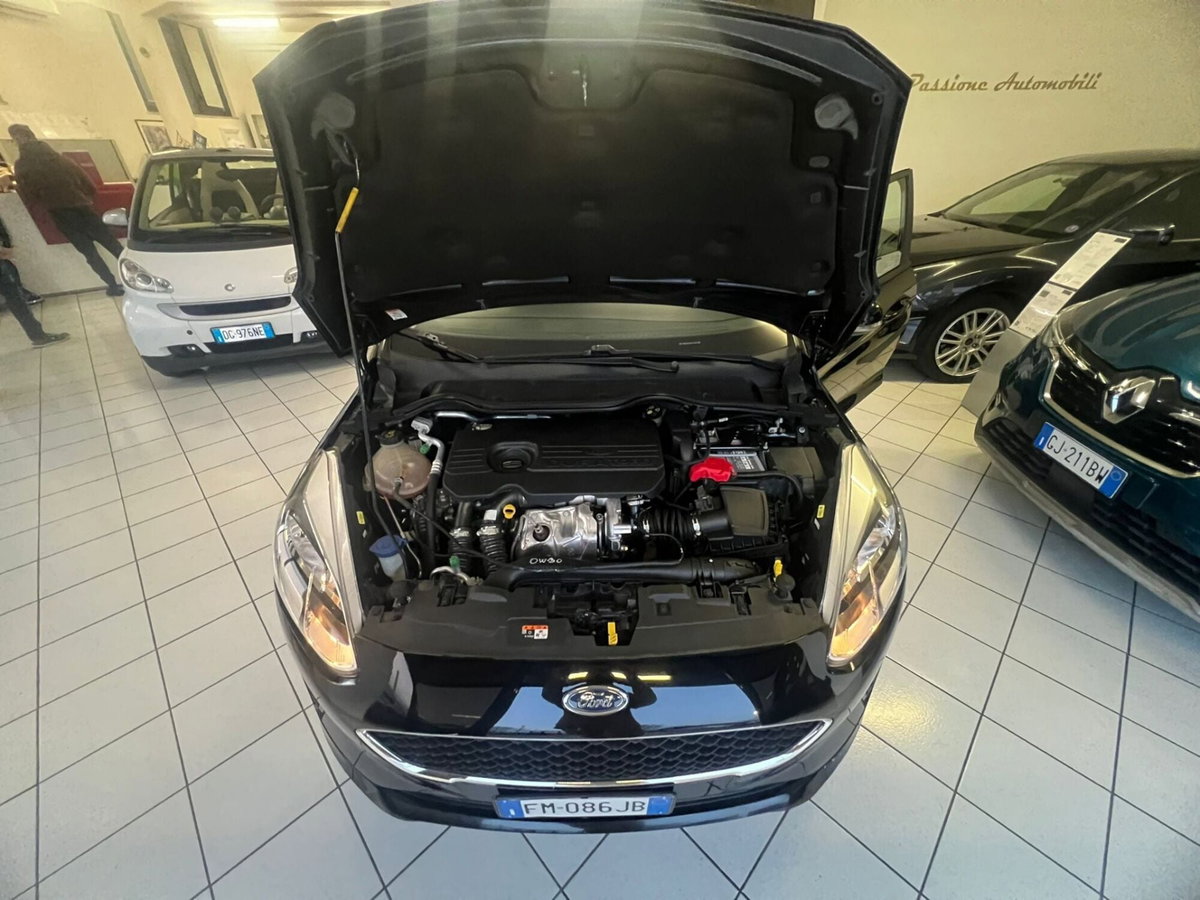 Ford Fiesta 1.5 TDCi 5 porte Titanium (7)