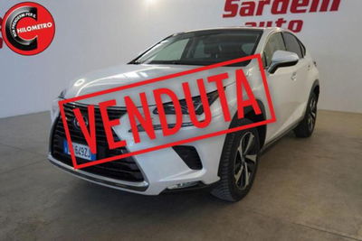 Lexus NX Hybrid 4WD Luxury usata
