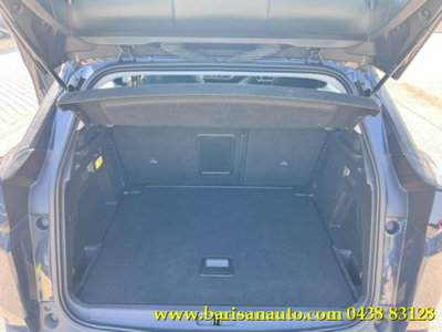 Peugeot 3008 BlueHDi 130 S&S Business (8)