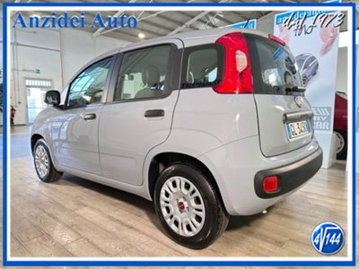 Fiat Panda 1.0 firefly hybrid s&s 70cv 5p.ti (4)
