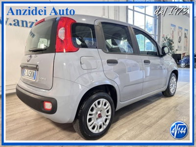 Fiat Panda 1.0 firefly hybrid s&s 70cv 5p.ti (6)