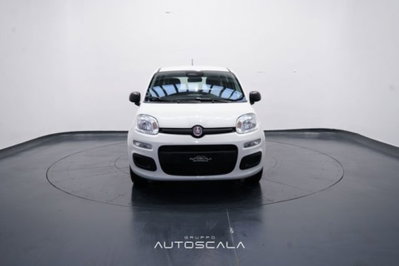 Fiat Panda 1.0 firefly hybrid Icon s&s 70cv (2)