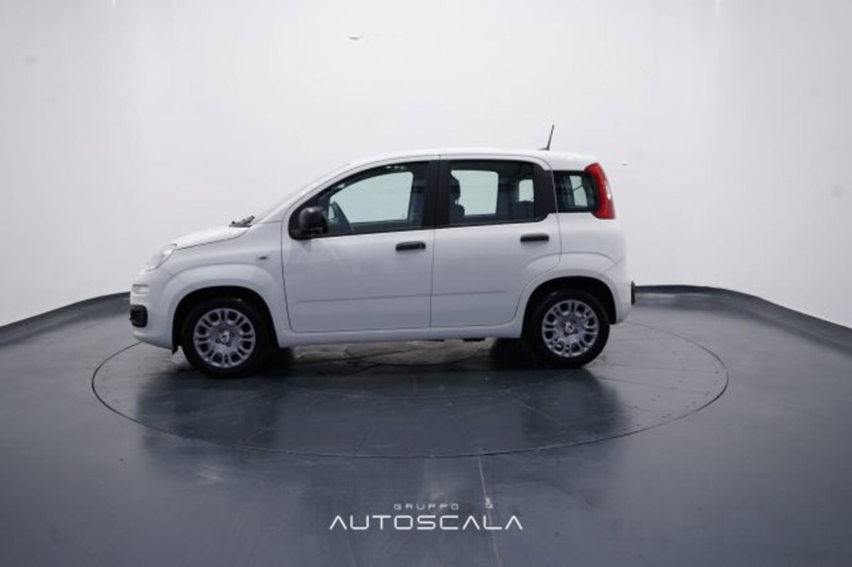Fiat Panda 1.0 firefly hybrid Icon s&s 70cv (3)