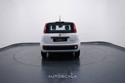 Fiat Panda 1.0 firefly hybrid Icon s&s 70cv (5)