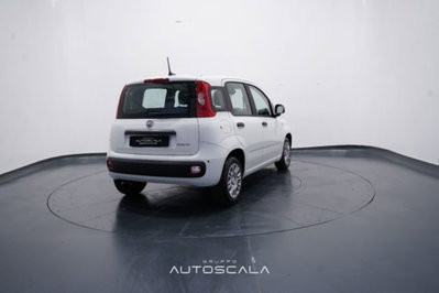 Fiat Panda 1.0 firefly hybrid Icon s&s 70cv (6)