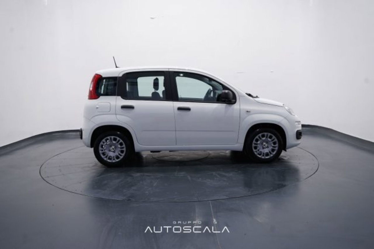Fiat Panda 1.0 firefly hybrid Icon s&s 70cv (7)