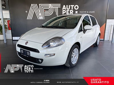 Fiat Punto 1.2 8V 5 porte Street usata