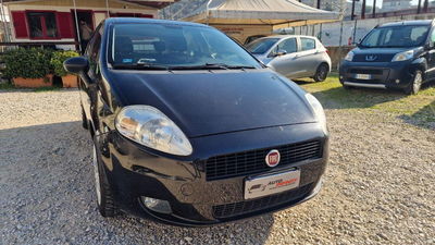 Fiat Punto 1.2 8V 5 porte Easy usata