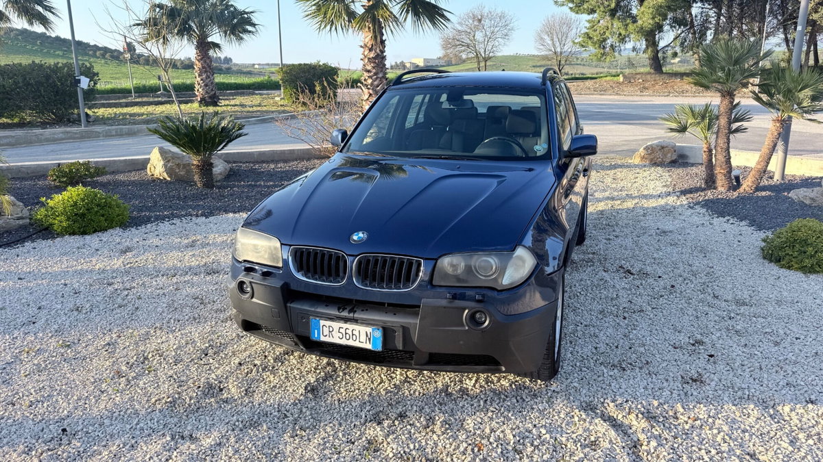 BMW X3 2.0d cat Futura (2)