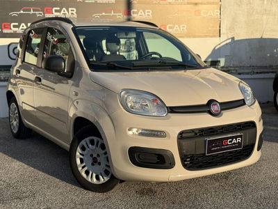 Fiat Panda 1.2 Lounge usata