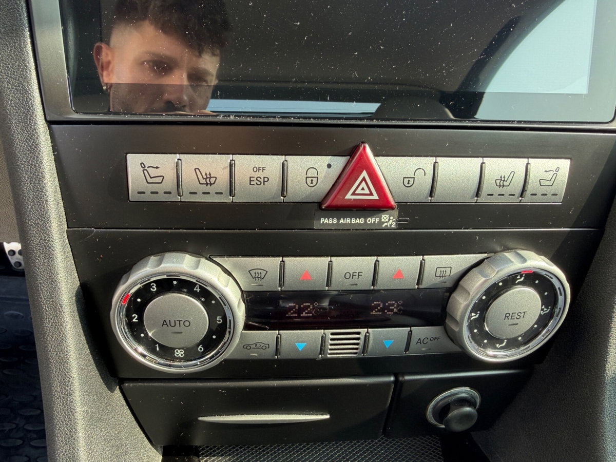 Mercedes-Benz SLK 200 Kompressor cat (10)