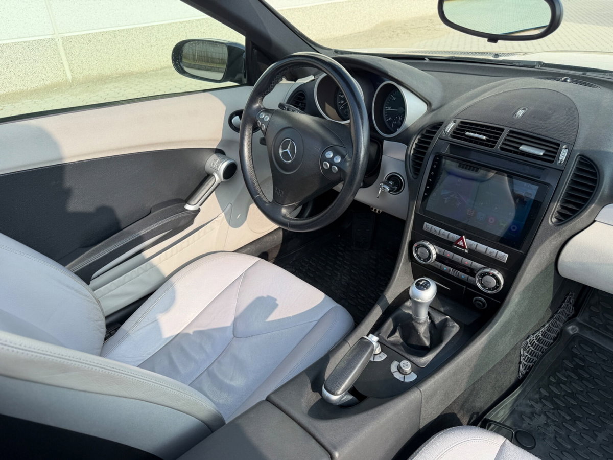 Mercedes-Benz SLK 200 Kompressor cat (12)