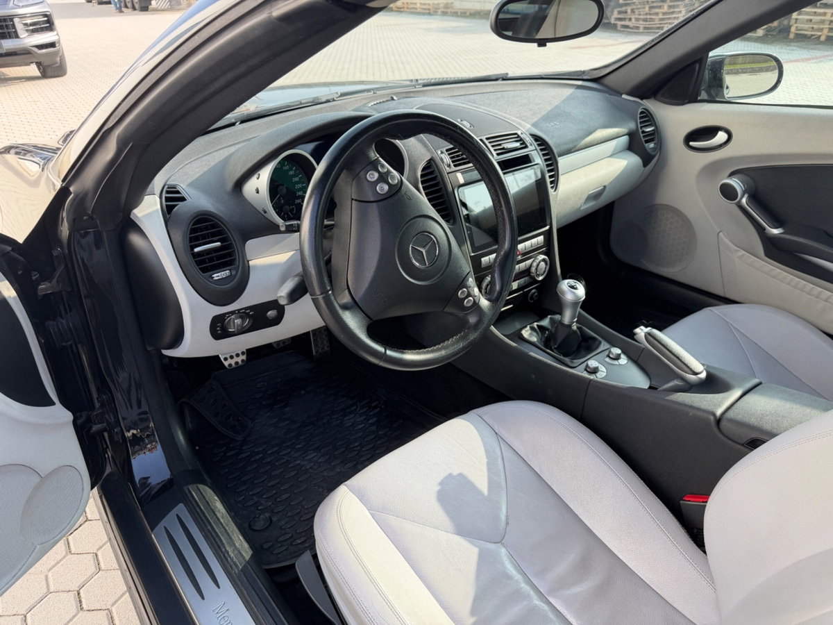Mercedes-Benz SLK 200 Kompressor cat (6)
