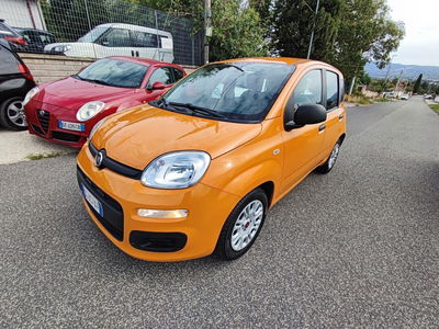 Fiat Panda 1.0 FireFly S&S Hybrid usata