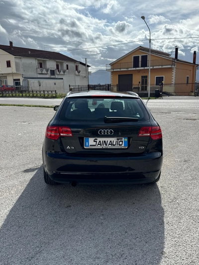 Audi A3 Sportback 1.6 TDI 90 CV CR F.AP Ambition (5)