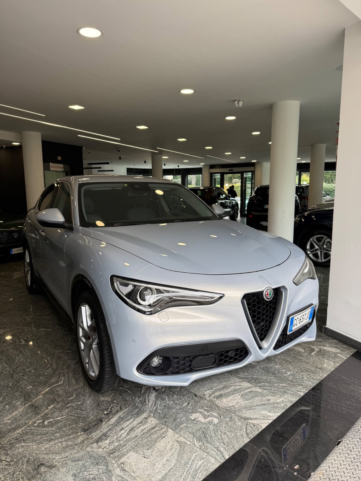 Alfa Romeo Stelvio Stelvio 2.2 Turbodiesel 210 CV AT8 Q4 Super (8)