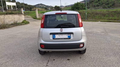 Fiat Panda 1.2 Easy (6)