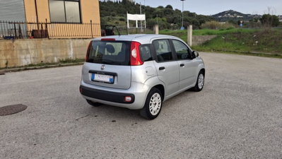 Fiat Panda 1.2 Easy (7)