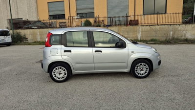Fiat Panda 1.2 Easy (8)