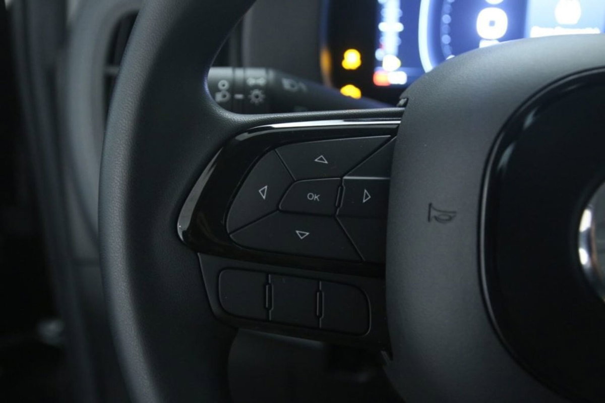 Fiat Panda 1.0 FireFly S&S Hybrid City Cross (18)