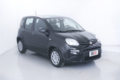 Fiat Panda 1.0 FireFly S&S Hybrid City Cross (3)