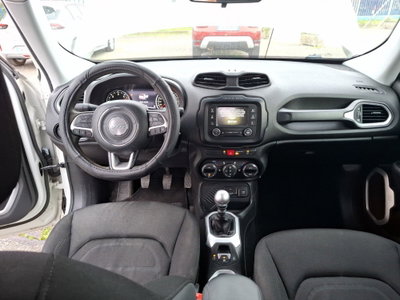 Jeep Renegade 1.6 Mjt 120 CV Limited (15)