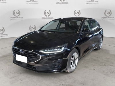 Ford Focus 1.5 EcoBlue 120 CV 5p. Business usata