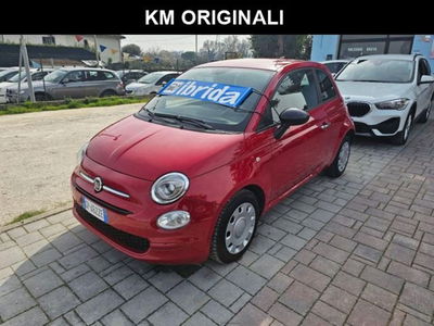 Fiat 500 1.0 Hybrid Club usata