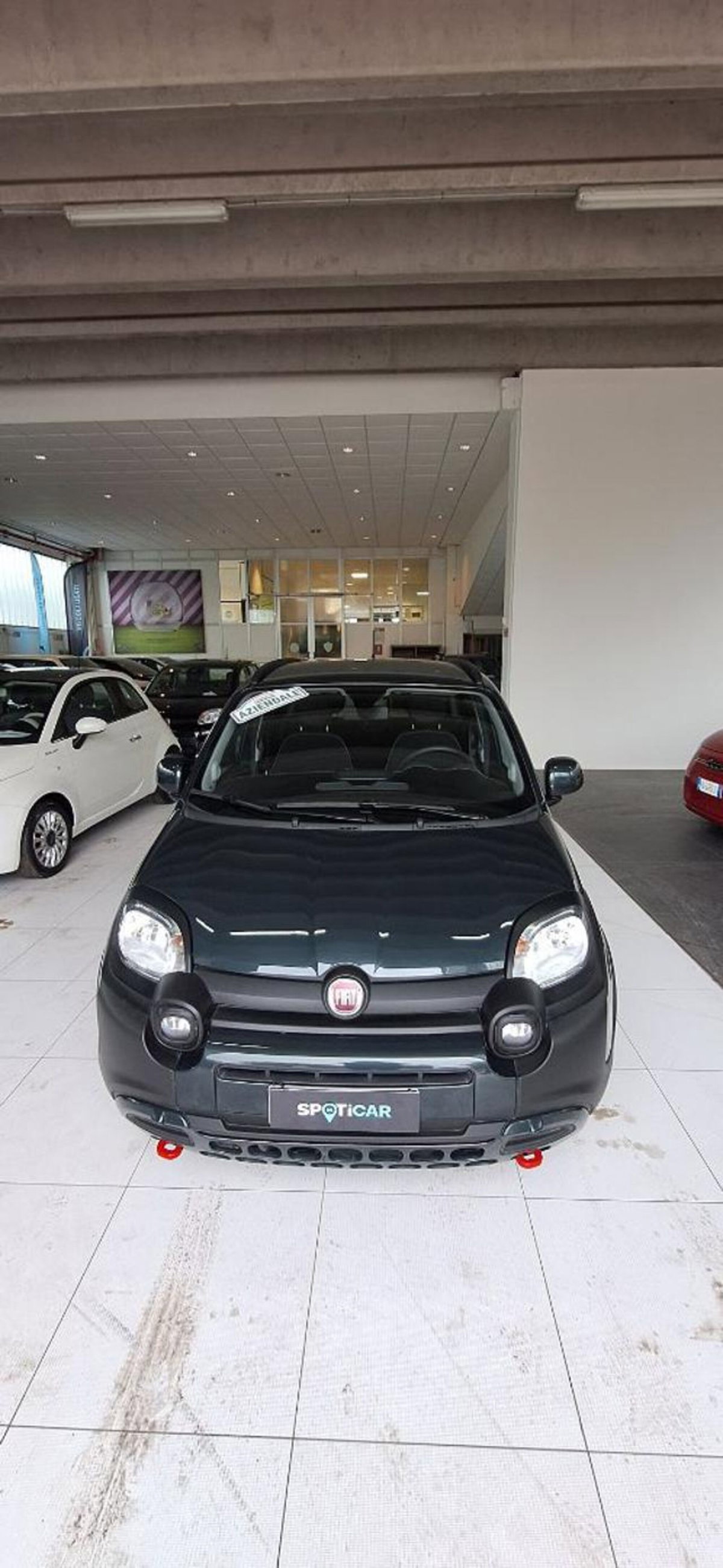 Fiat Panda Cross 1.0 firefly hybrid Cross s&s 70cv 5p.ti (2)
