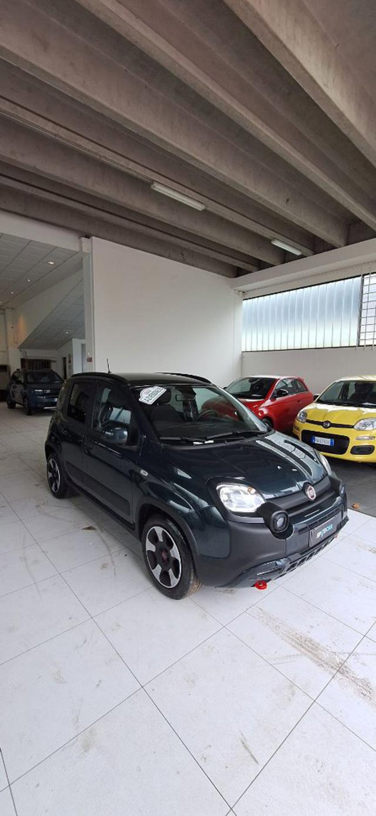 Fiat Panda Cross 1.0 firefly hybrid Cross s&s 70cv 5p.ti (3)