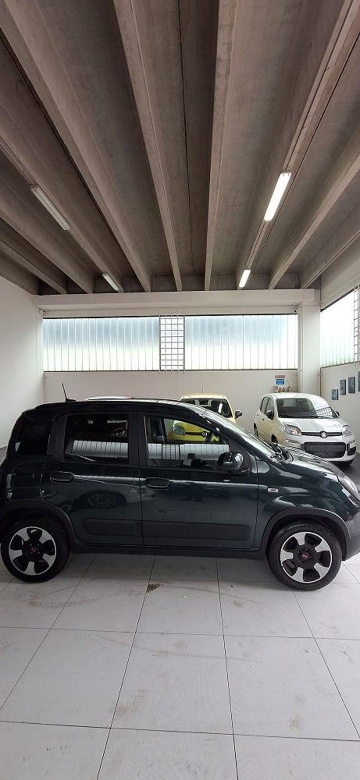 Fiat Panda Cross 1.0 firefly hybrid Cross s&s 70cv 5p.ti (4)