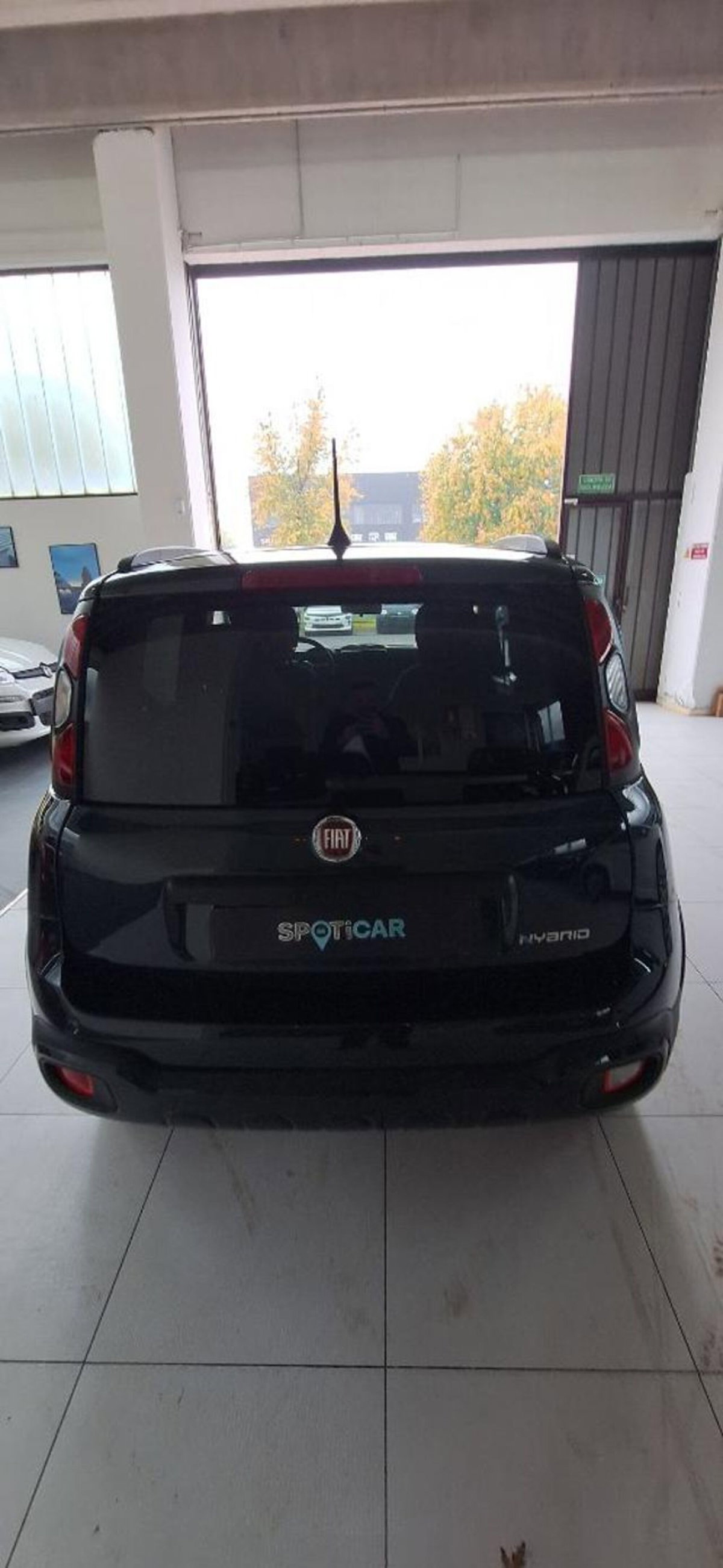 Fiat Panda Cross 1.0 firefly hybrid Cross s&s 70cv 5p.ti (5)