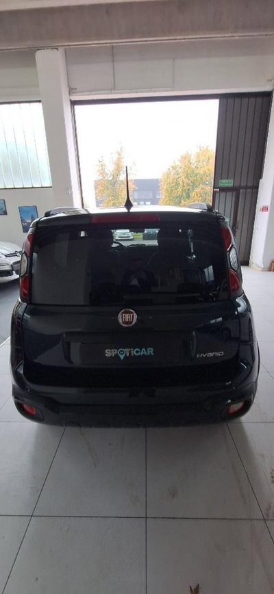 Fiat Panda Cross 1.0 firefly hybrid Cross s&s 70cv 5p.ti (5)