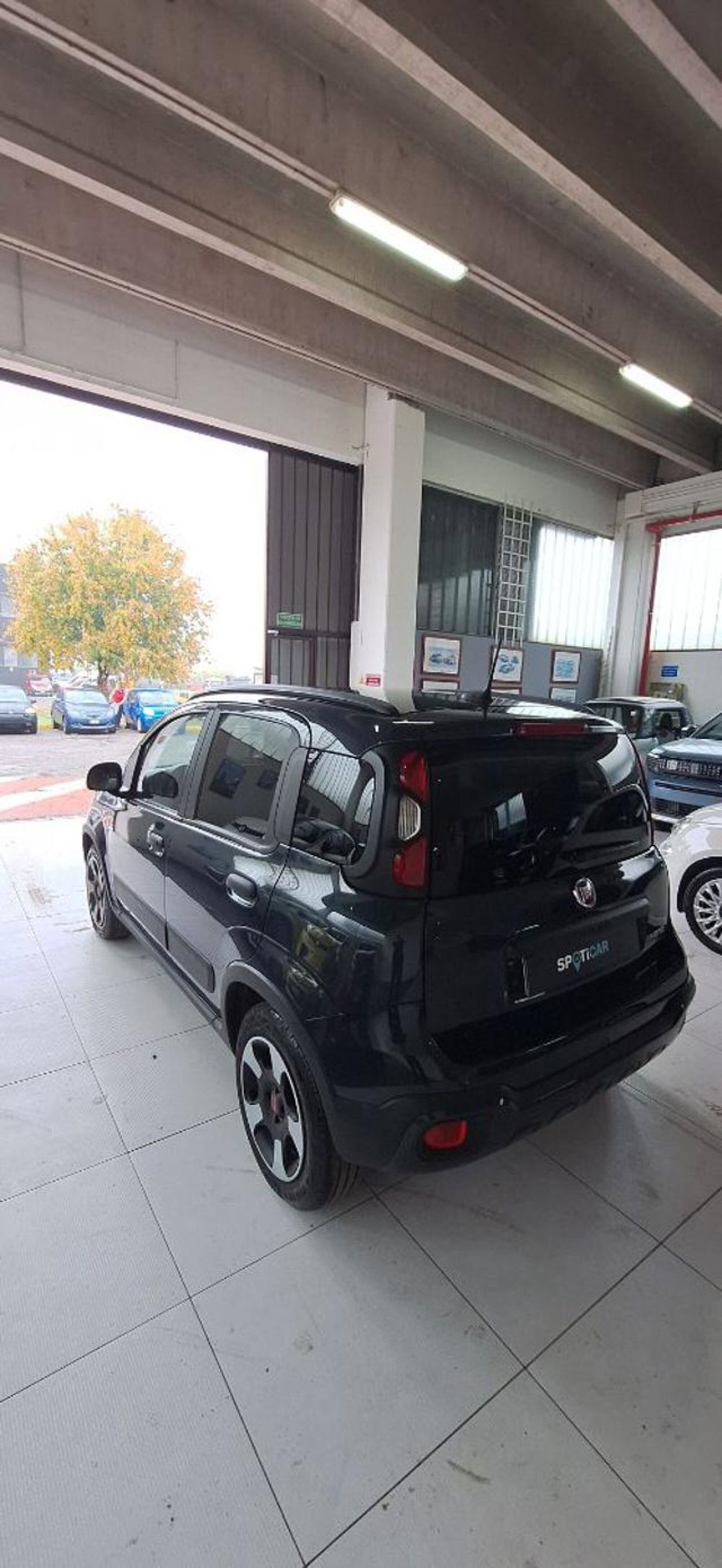 Fiat Panda Cross 1.0 firefly hybrid Cross s&s 70cv 5p.ti (7)