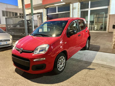 Fiat Panda 1.2 Easy usata