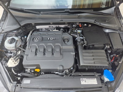 Volkswagen Golf 1.6 TDI 110 CV 5p. Executive BlueMotion Technology (11)