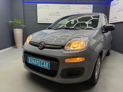 Fiat Panda 1.0 firefly hybrid Pop s&s 70cv usata